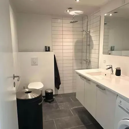 Habor With Access To The Harbor Sauna And Pool Apartment Odense